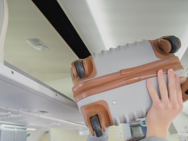 Bringing Japanese Beef to Singapore: What You Need to Know